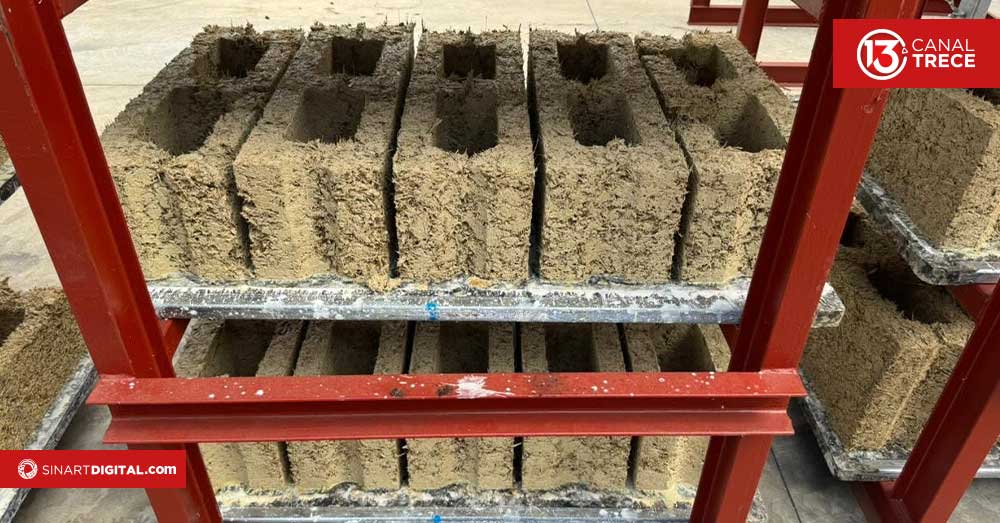 ¿Cómo se fabrican materiales de construcción a partir de fibras vegetales?