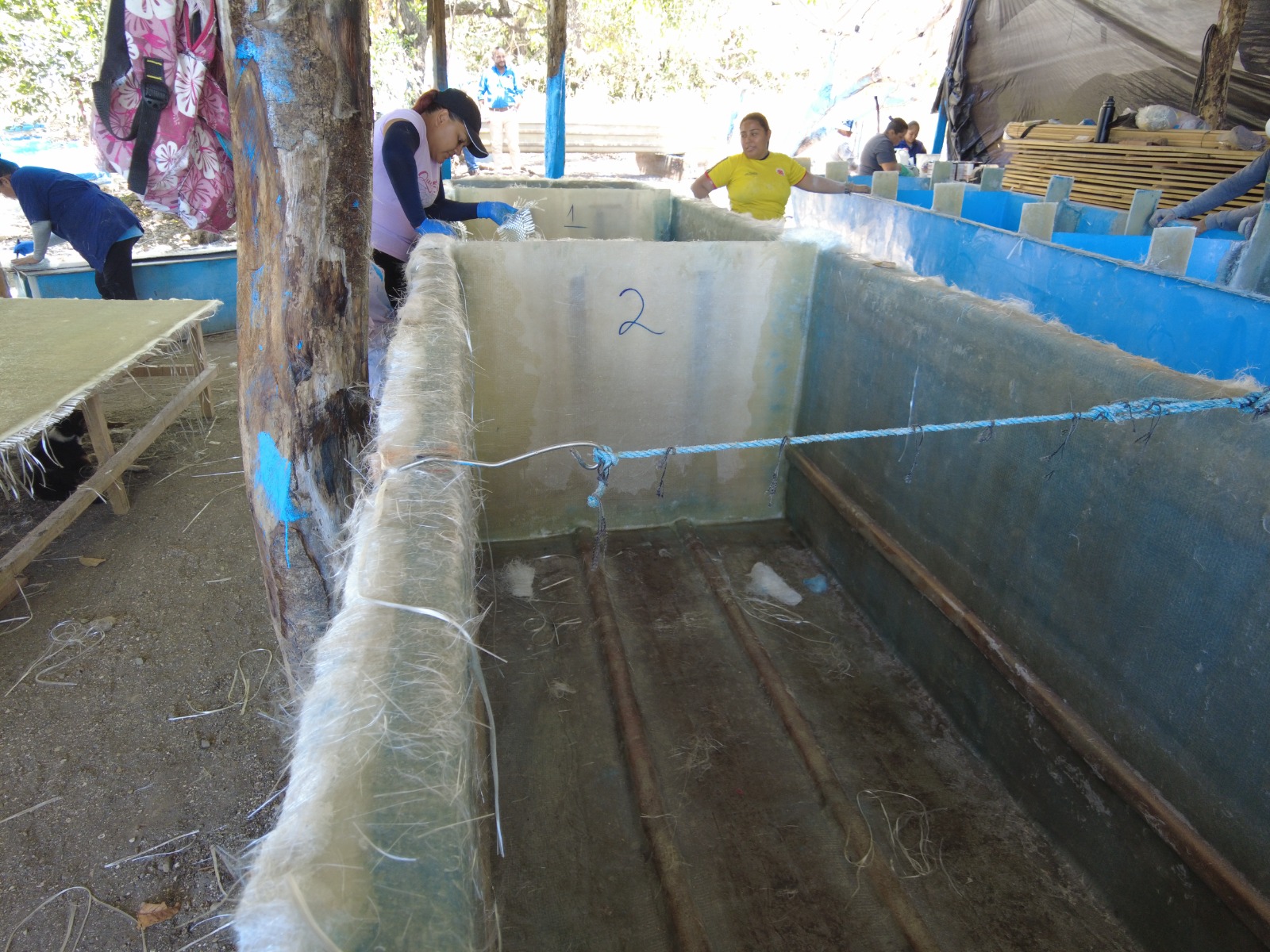 WhatsApp Image 2024 04 26 at 8.51.57 AM