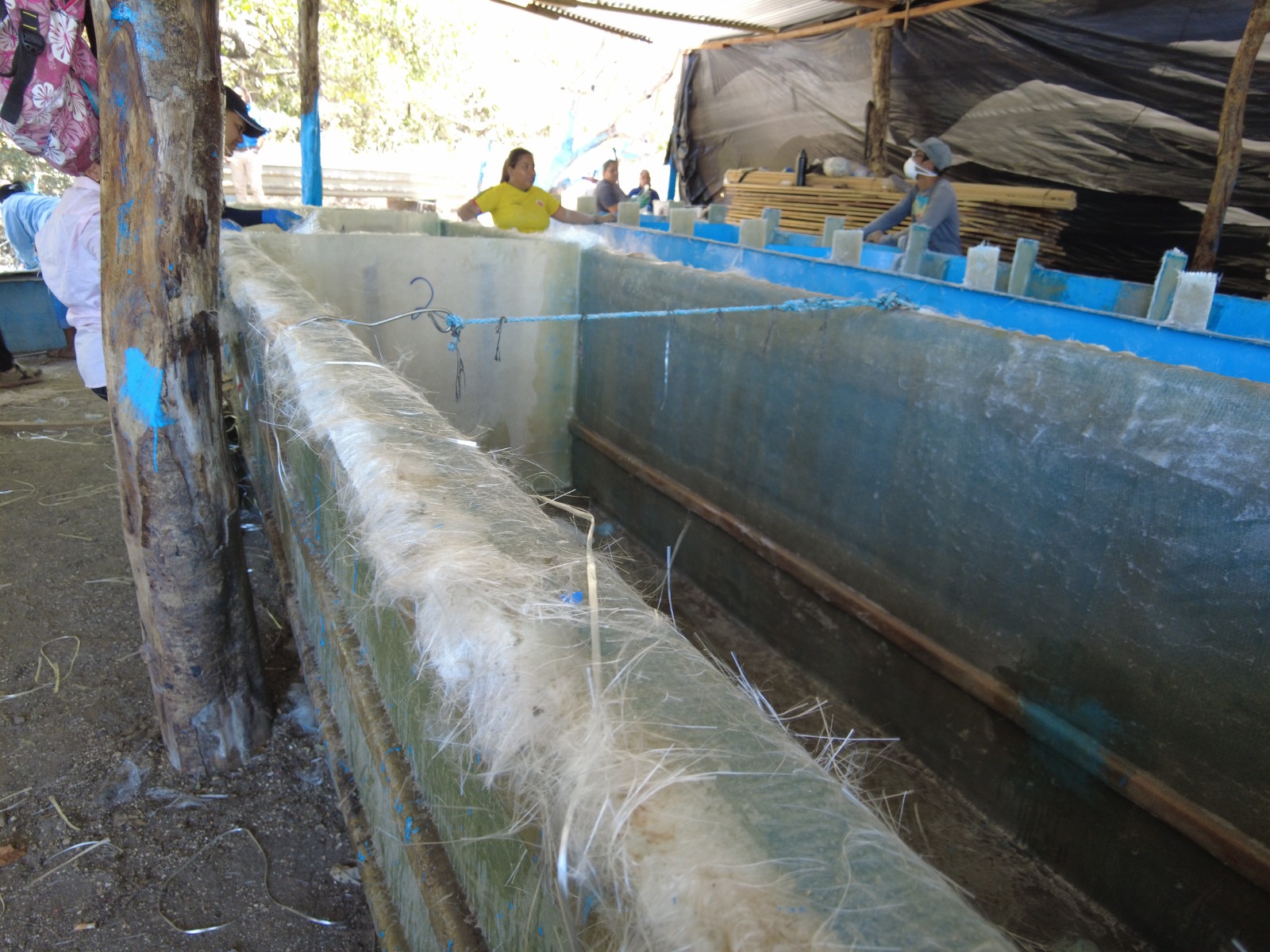 WhatsApp Image 2024 04 26 at 8.51.57 AM 1