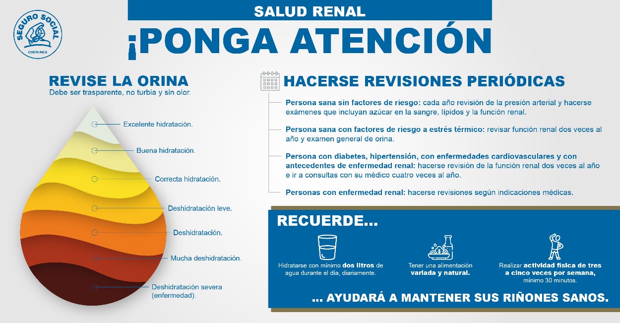 prevencionriñones