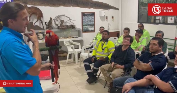 Recomendaciones clave si se encuentra fauna silvestre en la vía