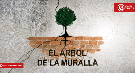 Cine Retrospectivo: El árbol de la muralla