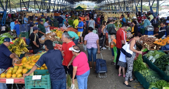 Feria del Agricultor: Más de 5 productos bajaron de precio esta semana 