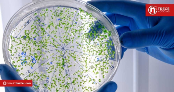 Nutricionistas piden reforzar medidas de higiene ante casos de salmonela