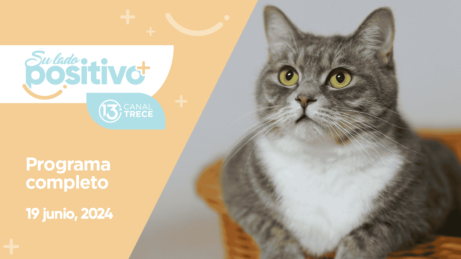 Su Lado Positivo 19 junio 2024   Programa completo