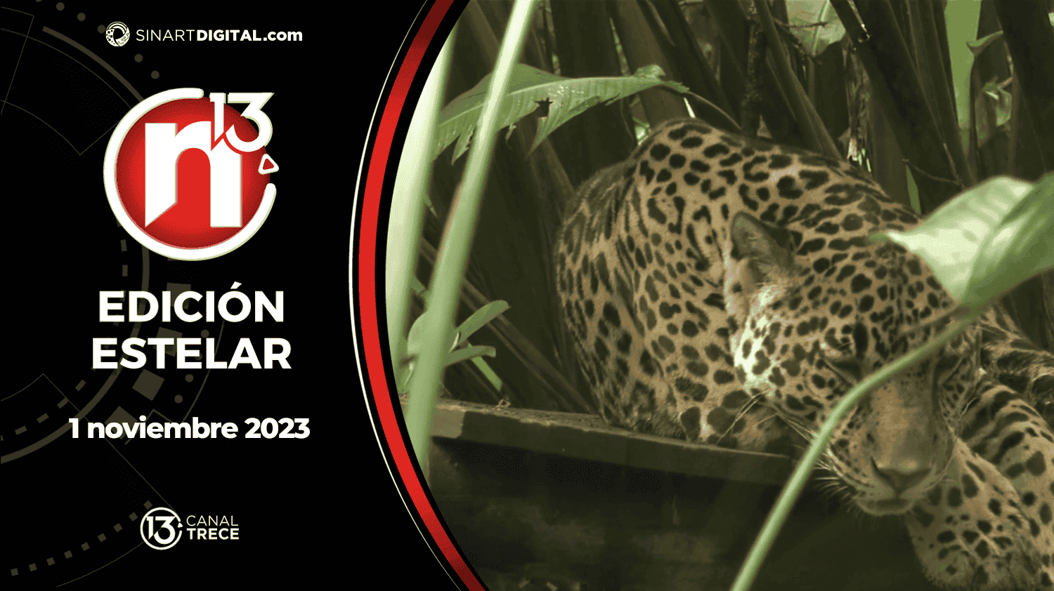 Edición Estelar - 1 noviembre 2023 | Trece Noticias 