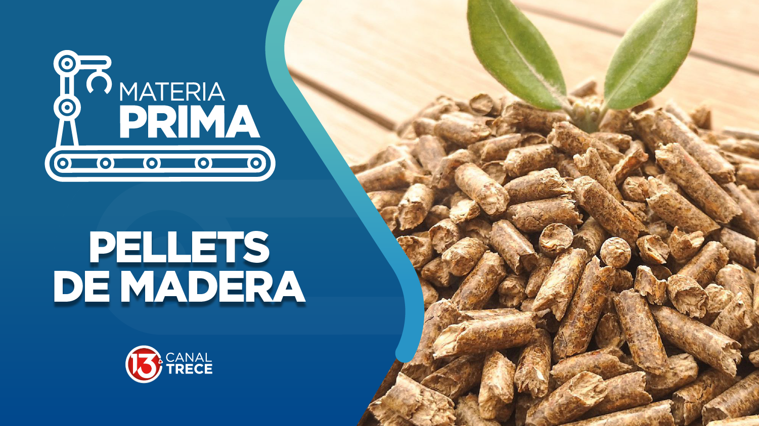 Pellets de Madera | Materia Prima | 21 agosto 2026