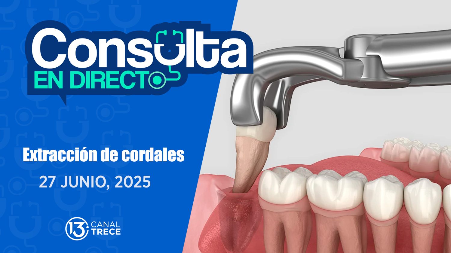  Consulta en Directo | 27 Junio 2025 