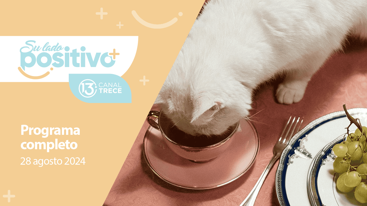 Su Lado Positivo 28 agosto 2024 | Programa completo