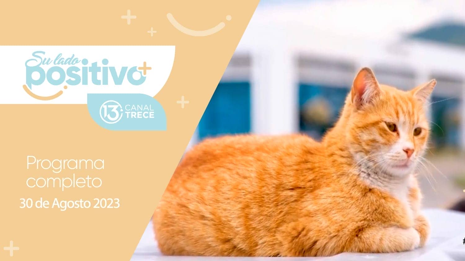 30 de Agosto  2023 - Programa Completo | Su Lado Positivo  