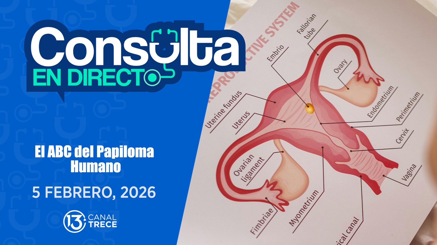 Consulta en Directo | 5 Febrero 2026 