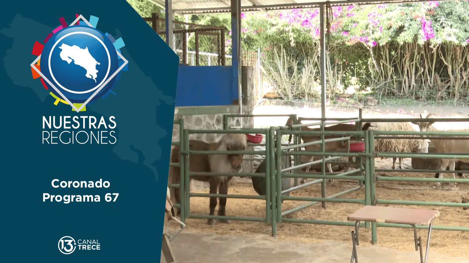 Programa # 67: Nuestras Regiones Coronado