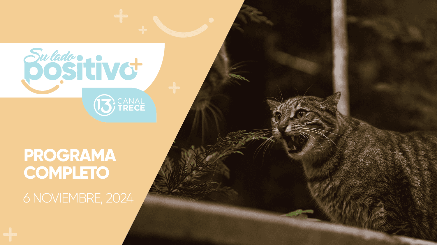 Su Lado Positivo 6 noviembre 2024 | Programa completo