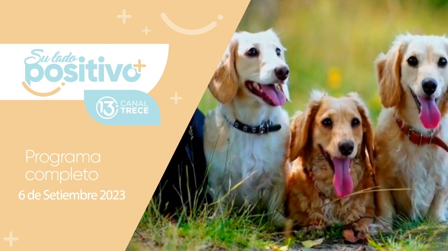 6 de Septiembre  2023 - Programa Completo | Su Lado Positivo  