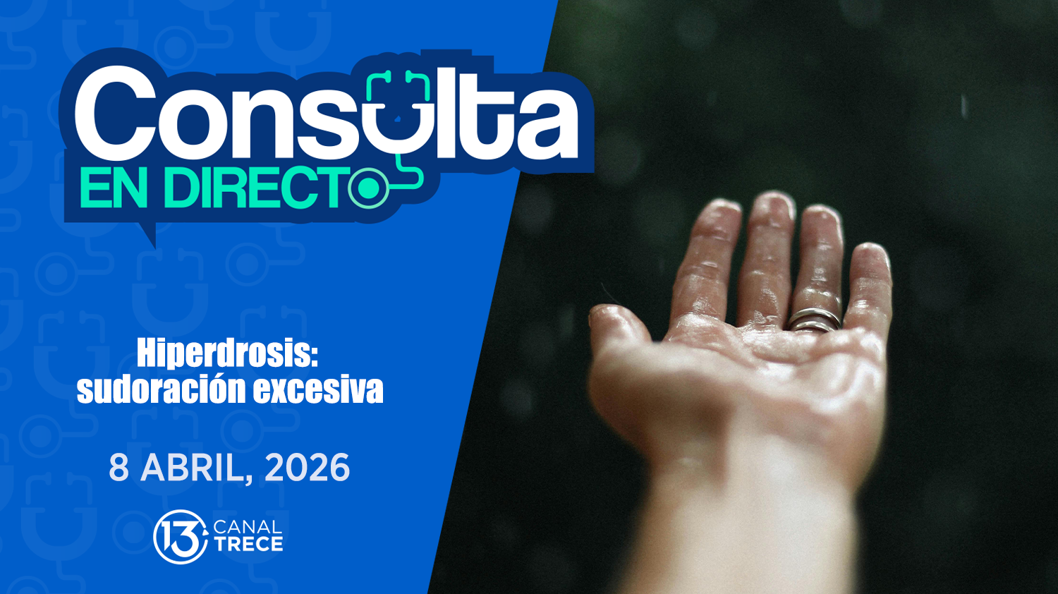 Consulta en Directo | 8 abril 2026