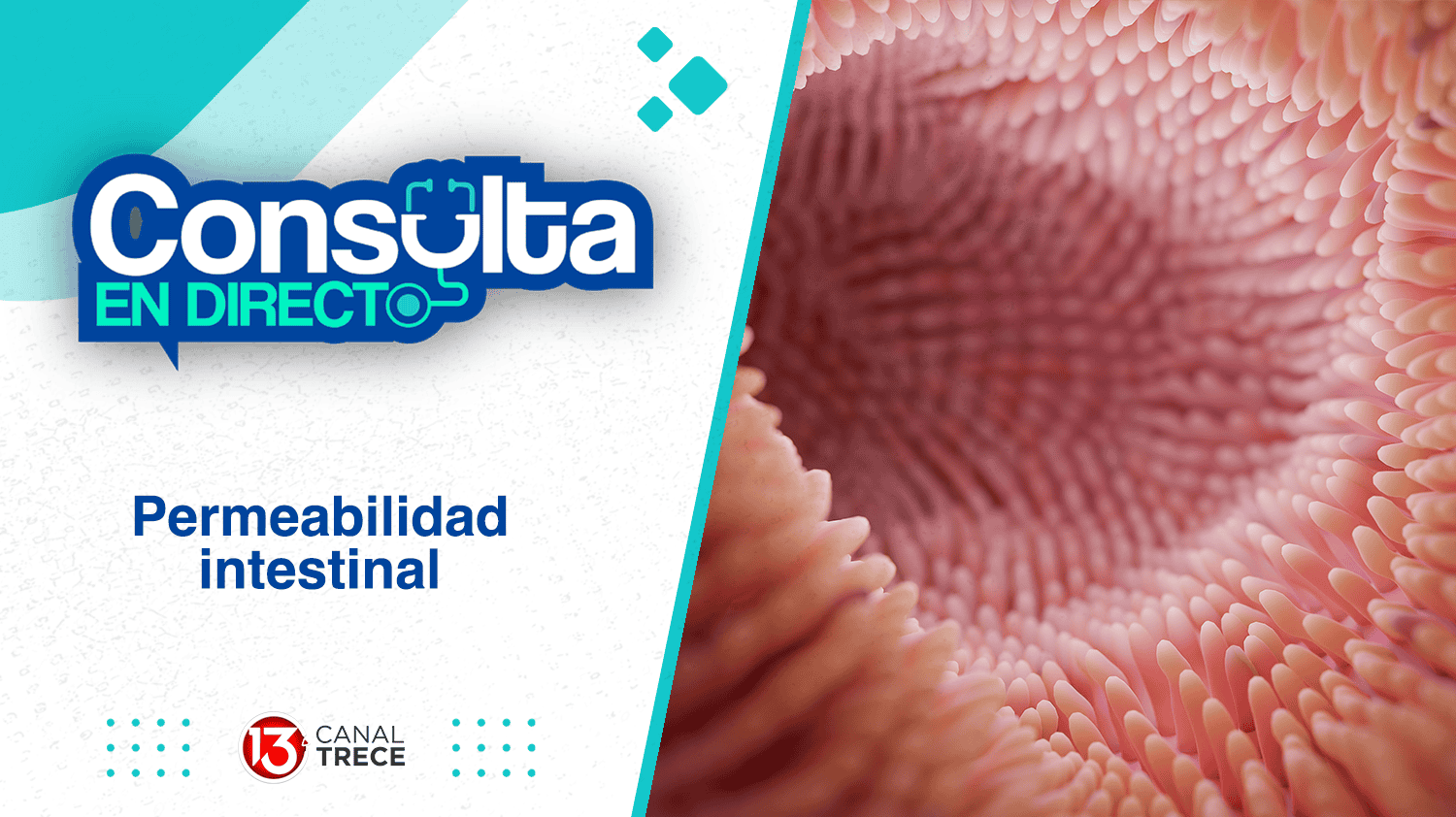 Permeabilidad Intestinal | 9 Agosto 2024 Programa Completo 