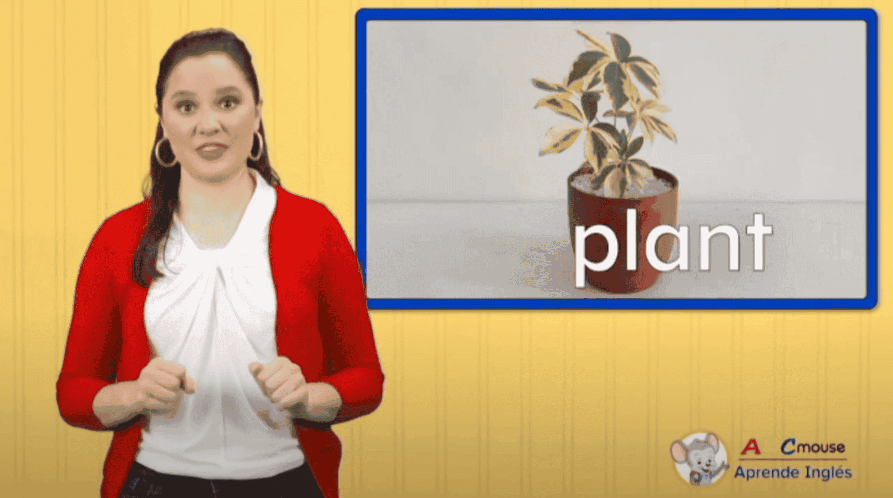 Flores, plantas y animales del zoológico 