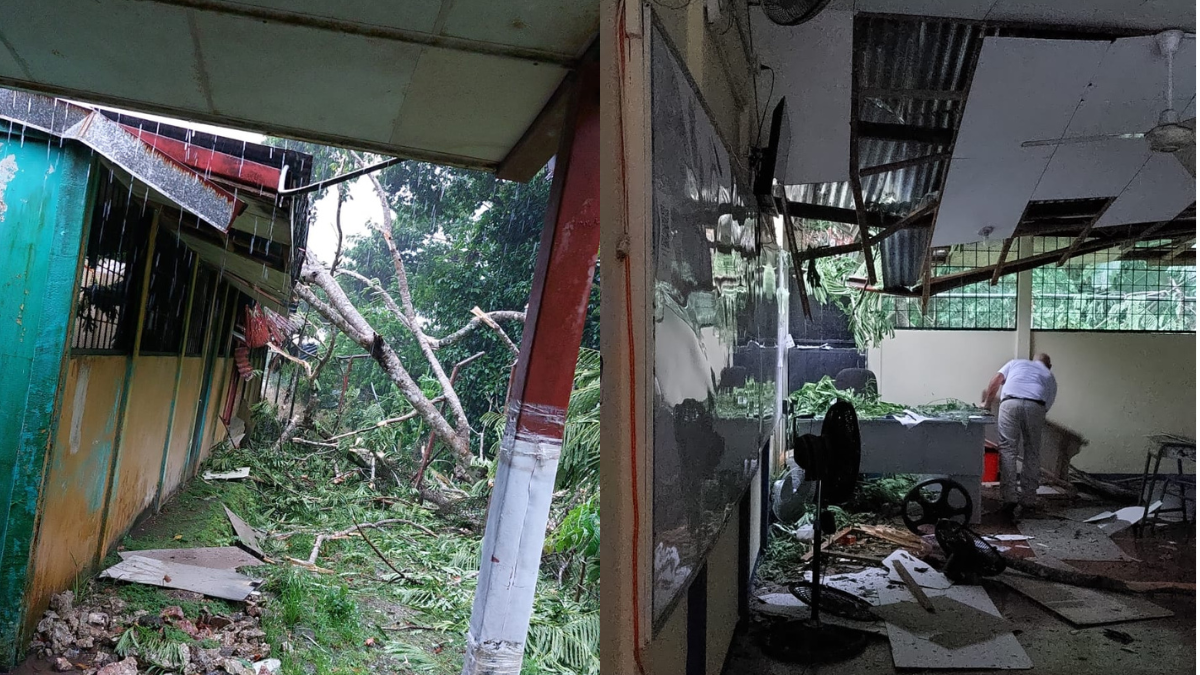 Fuertes lluvias ocasionan caída de árbol sobre escuela de Golfito