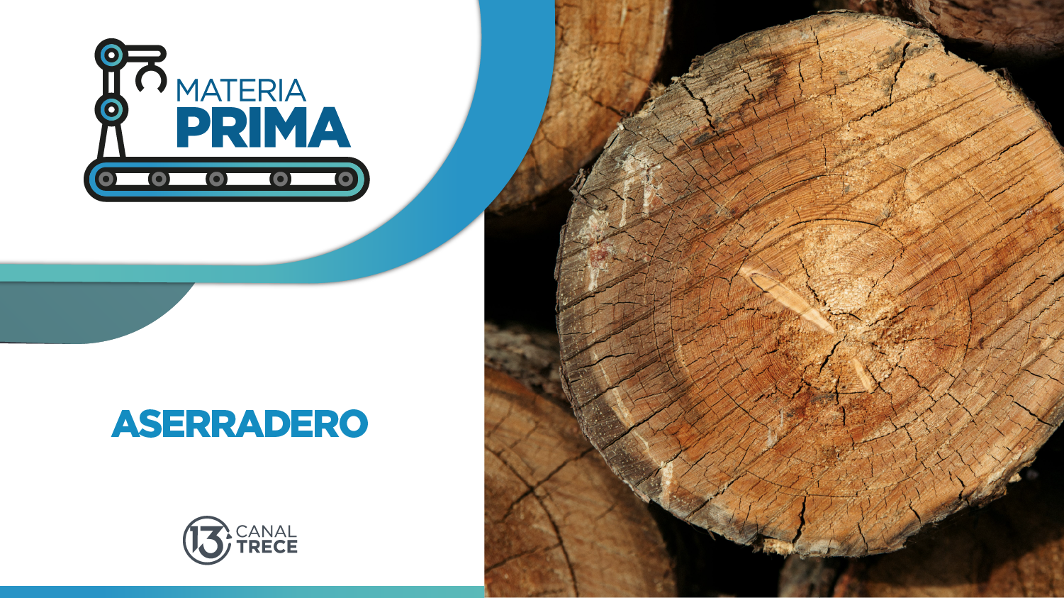 Aserradero | Materia Prima | 19 junio 2026