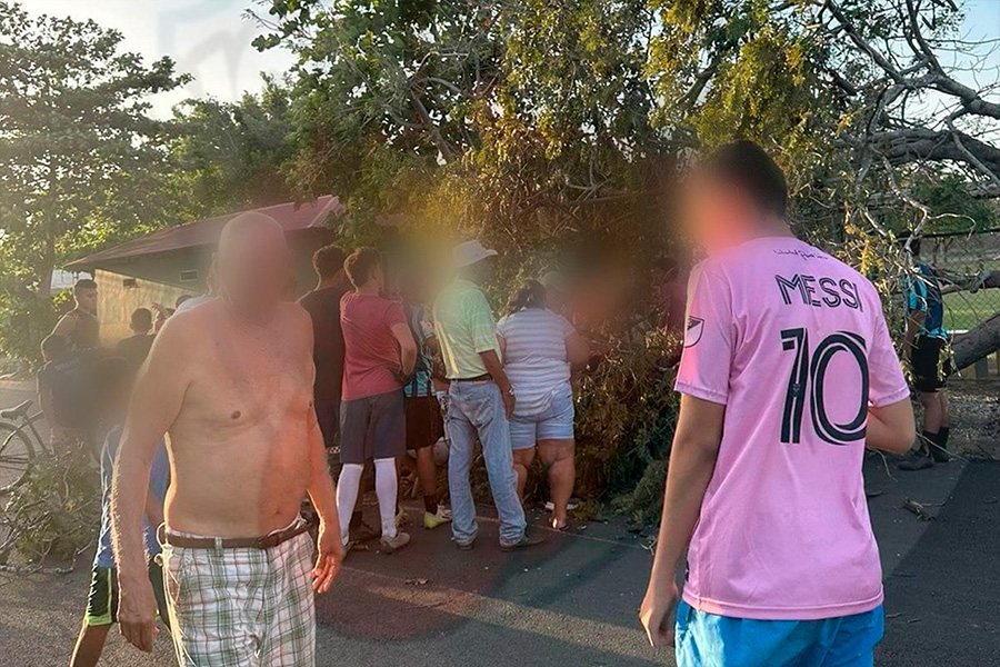 Árbol le cayó a adolescente de 14 años en Guanacaste