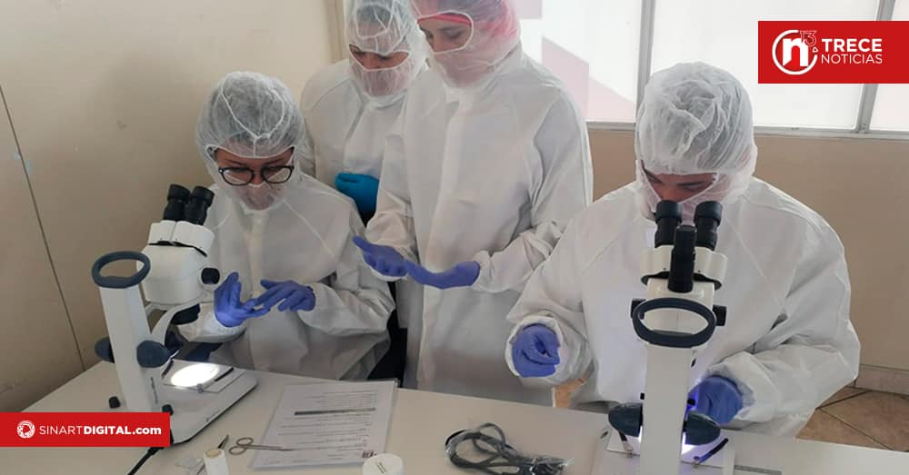 Jóvenes de Cartago podrán optar por 200 becas  