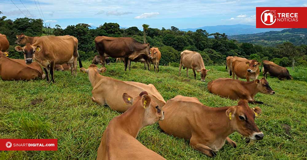 Auditoría ratifica confianza de los Estados Unidos por carne tica 
