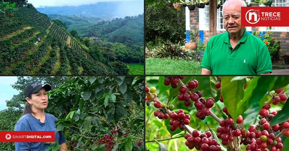 Colombia celebra récord del precio interno del café en medio de máximos internacionales