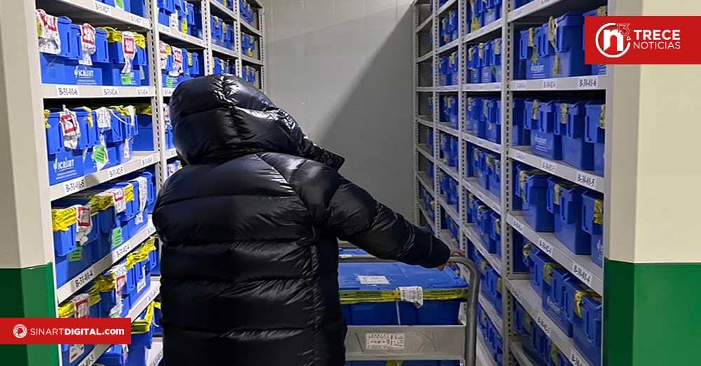 CATIE envía más de 1.100 semillas al extranjero