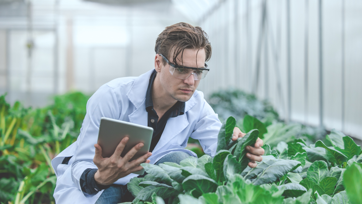 Transformación agrícola: Nuevo Centro de Investigación y ley de seguros impulsarán la productividad