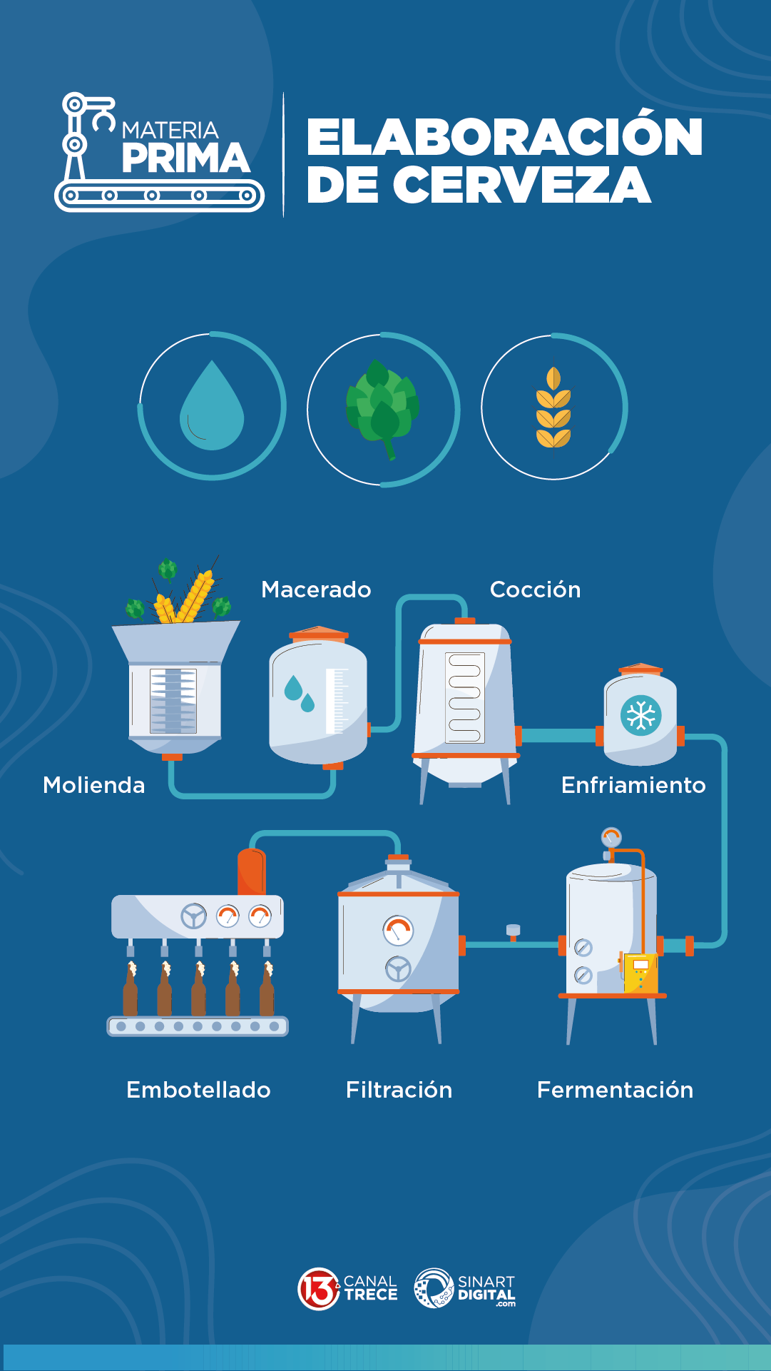 Elaboración de Cerveza Artesanal