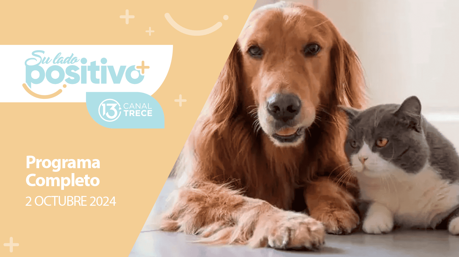 Su Lado Positivo 2 Octubre 2024 | Programa completo 