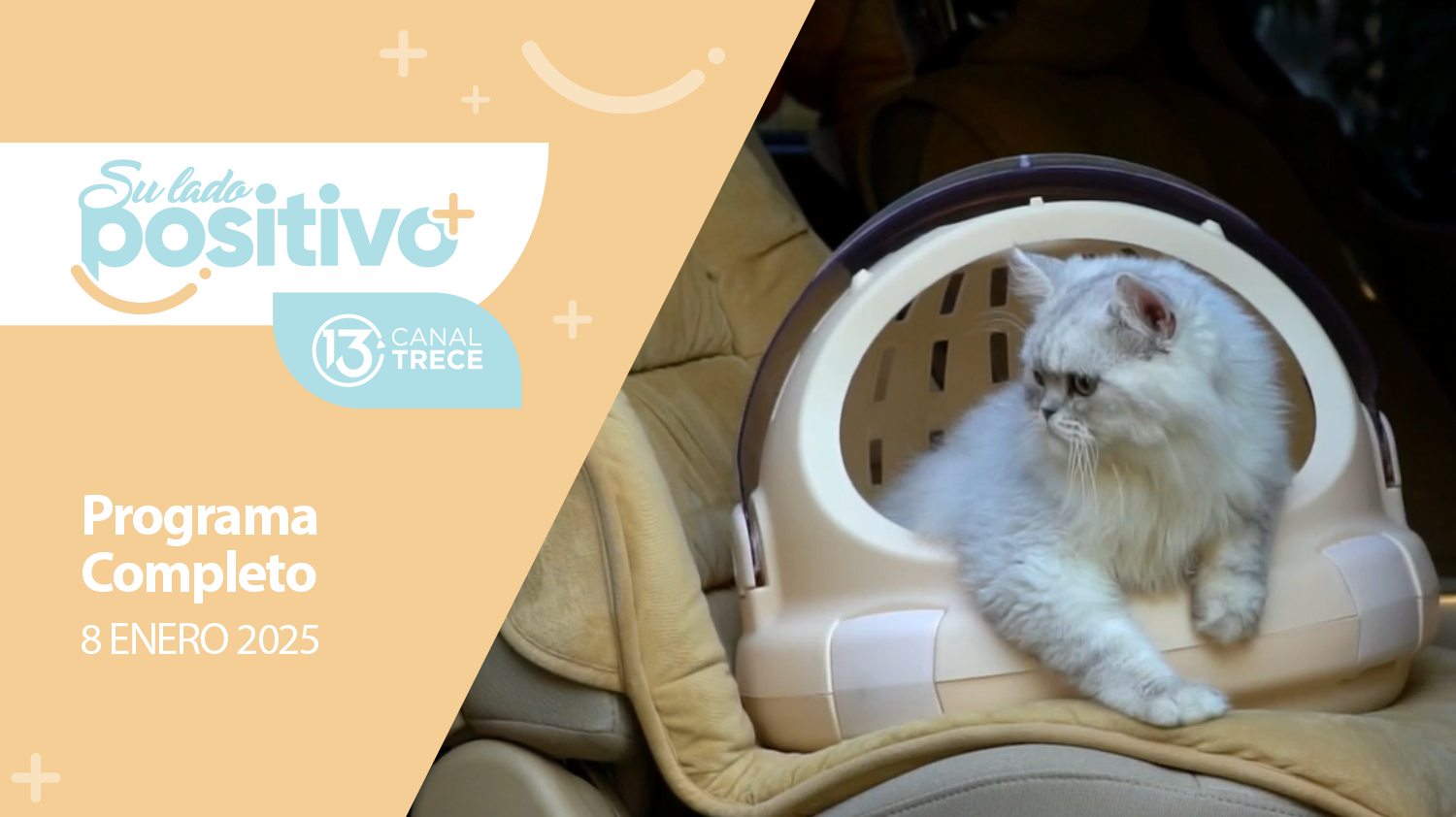 Su Lado Positivo 8 Enero 2025 | Programa completo