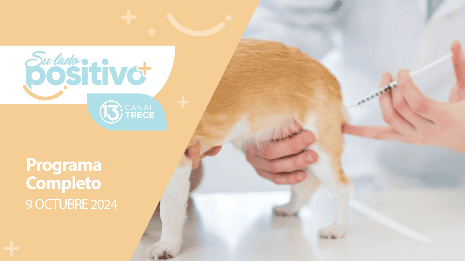 Su Lado Positivo 9 Octubre 2024 | Programa completo 