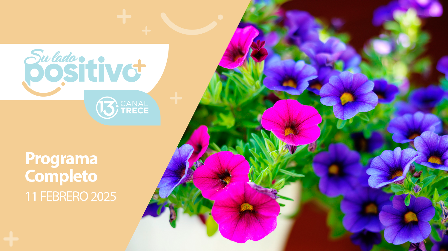 Su Lado Positivo 11 Febrero 2025 | Programa completo 