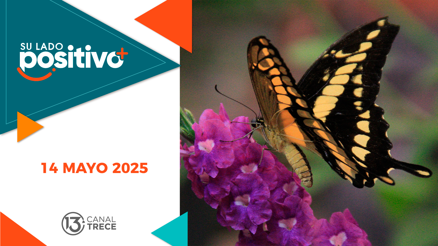 Su Lado Positivo | 14 mayo 2025