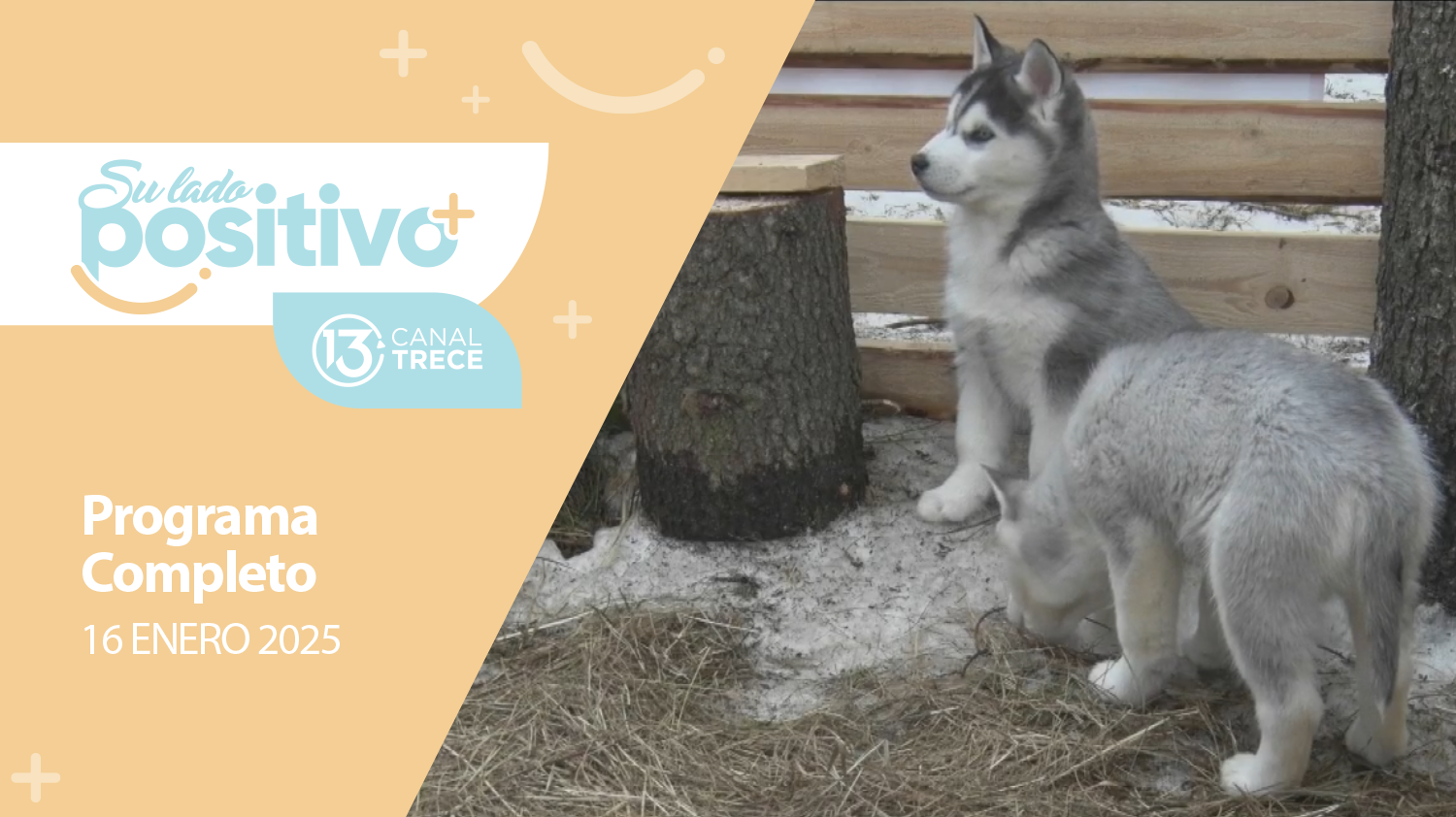 Su Lado Positivo 16 Enero 2025 | Programa completo 