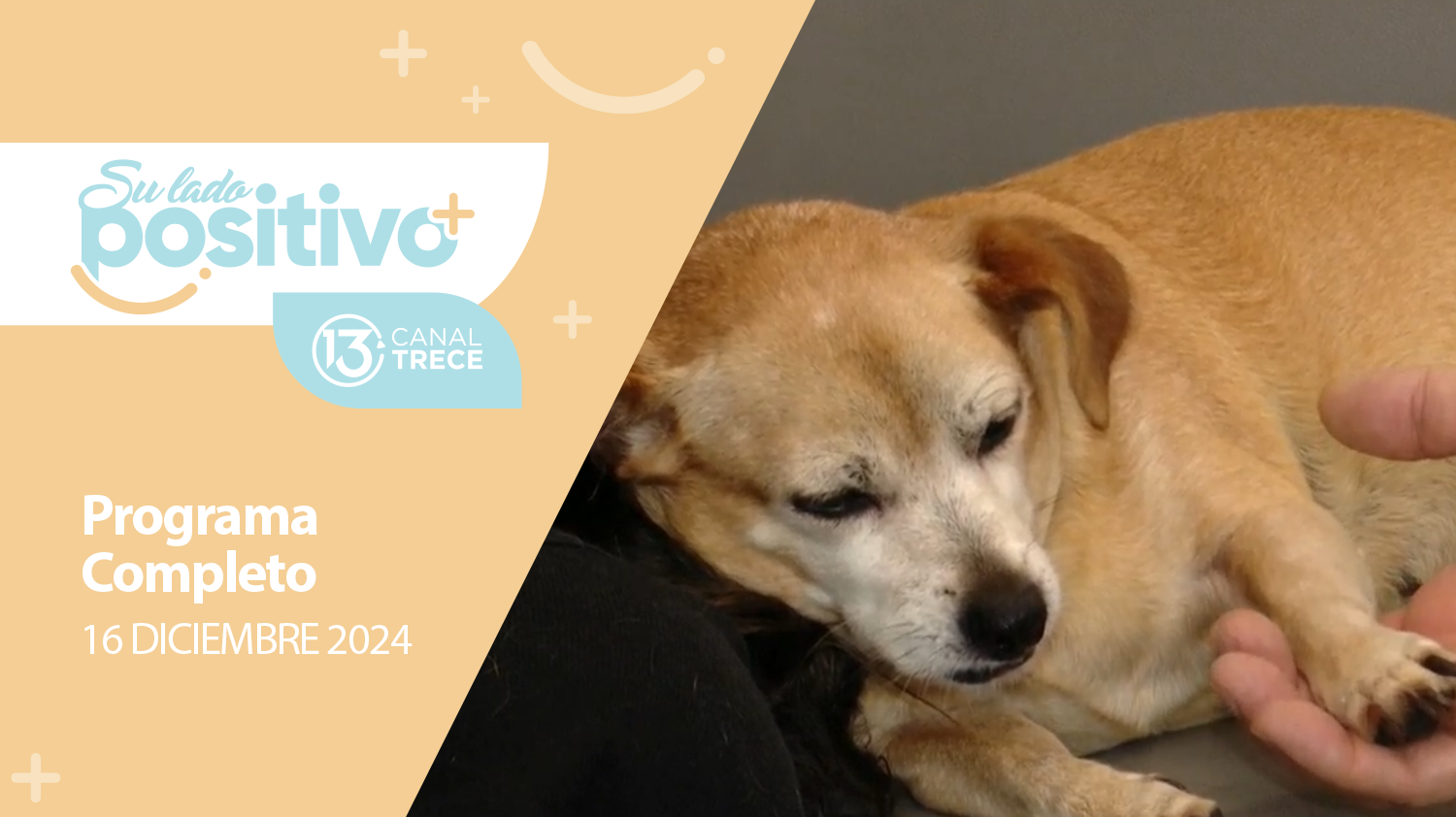 Su Lado Positivo 16 diciembre 2024 | Programa completo