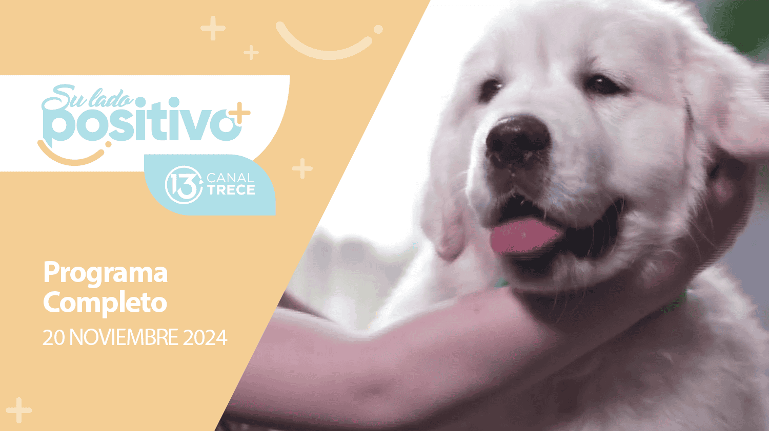 Su Lado Positivo 20 noviembre 2024 | Programa completo