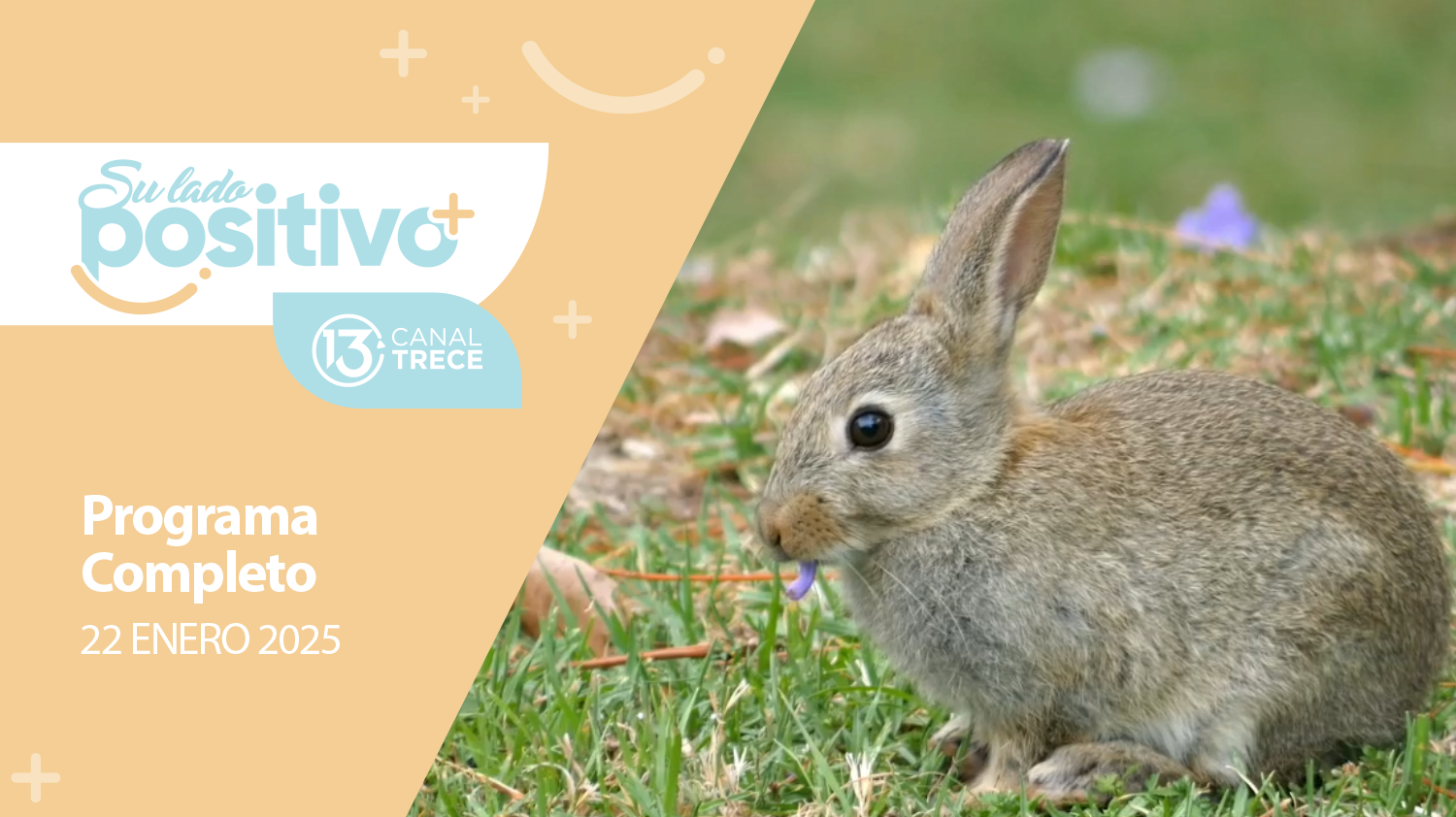 Su Lado Positivo 22 Enero 2025 | Programa completo