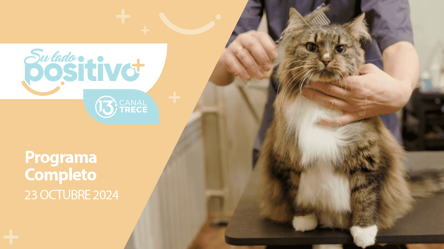 Su Lado Positivo 23 Octubre 2024 | Programa completo 