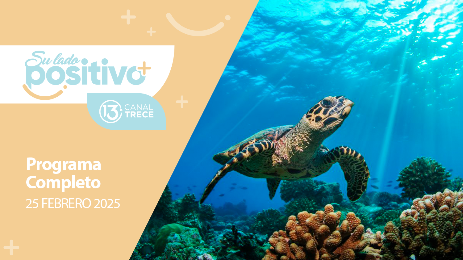 Su Lado Positivo 25 Febrero 2025 | Programa completo