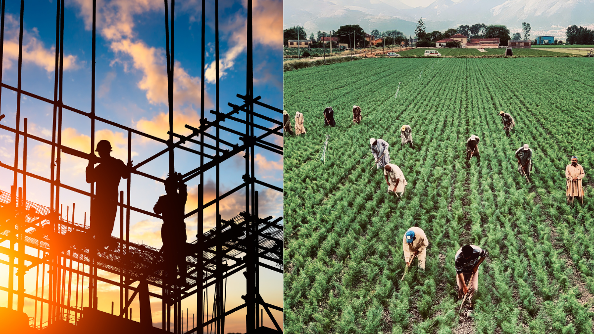 Retos de contratación revelan urgencia de empleados en construcción y sector agropecuario