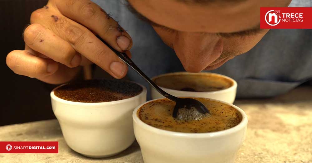 Subasta de Café de Ultra Especialidad vendió lote de café tico a $351 el kilo