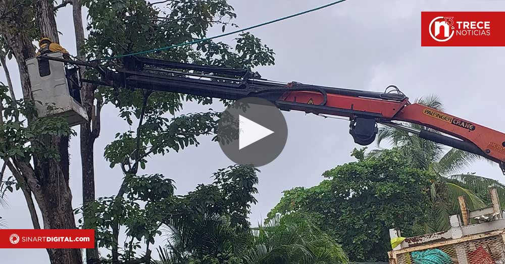  Cuerdas de pesca ilegal se transforman en pasos de fauna para proteger monos carablanca en Parrita