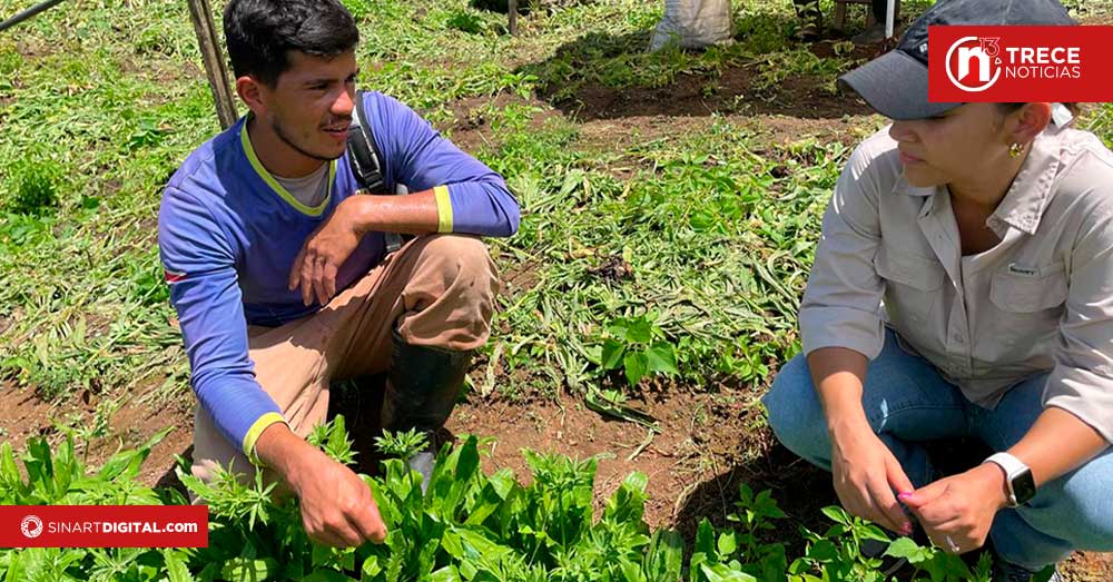 Mejoras constantes en la forma de producir alimentos agrícolas