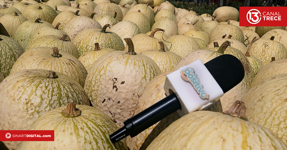 Se acerca la Feria Nacional del Chiverre 