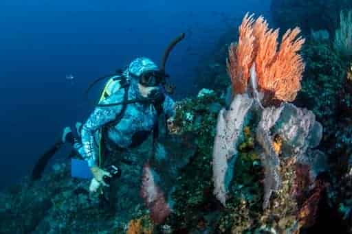 Documental sobre Corcovado se estrenará mañana en National Geographic