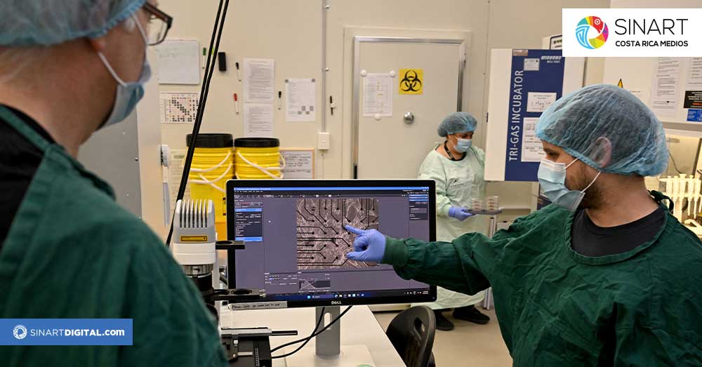 Un chip con neuronas humanas aprende a jugar a 'Doom'