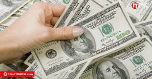 Dólar cerraría el año entre los ¢510 y ¢530 según estudio de la UNA 