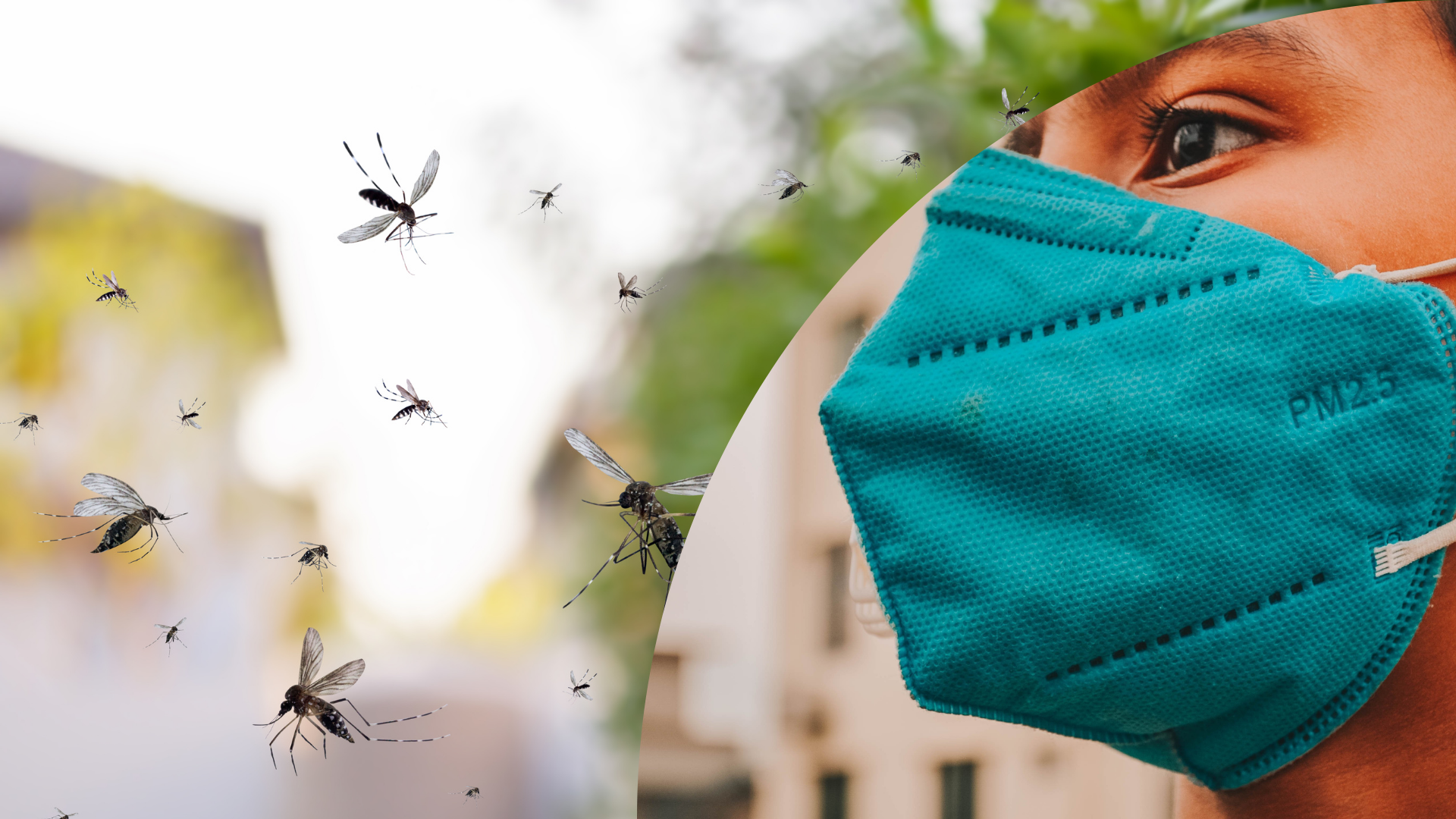 Desafíos de salud pública: Desde el aumento del dengue hasta la lucha contra el COVID-19